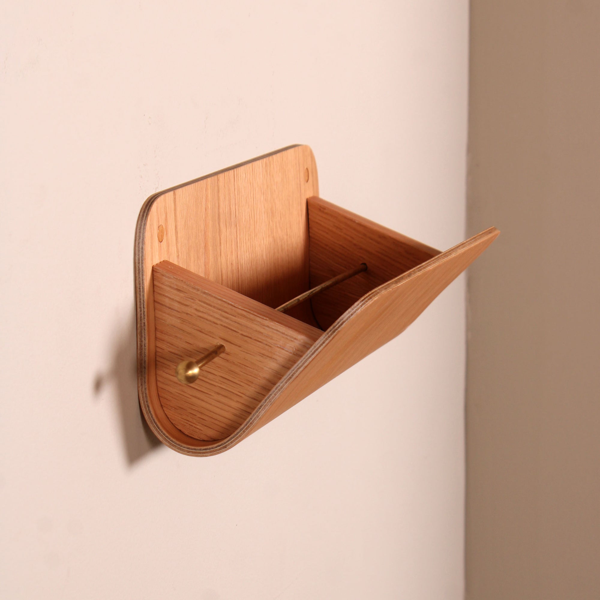 Wall Organizer